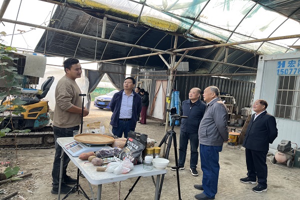 市关工委调研指导琅琊区乡村振兴关工助力工作