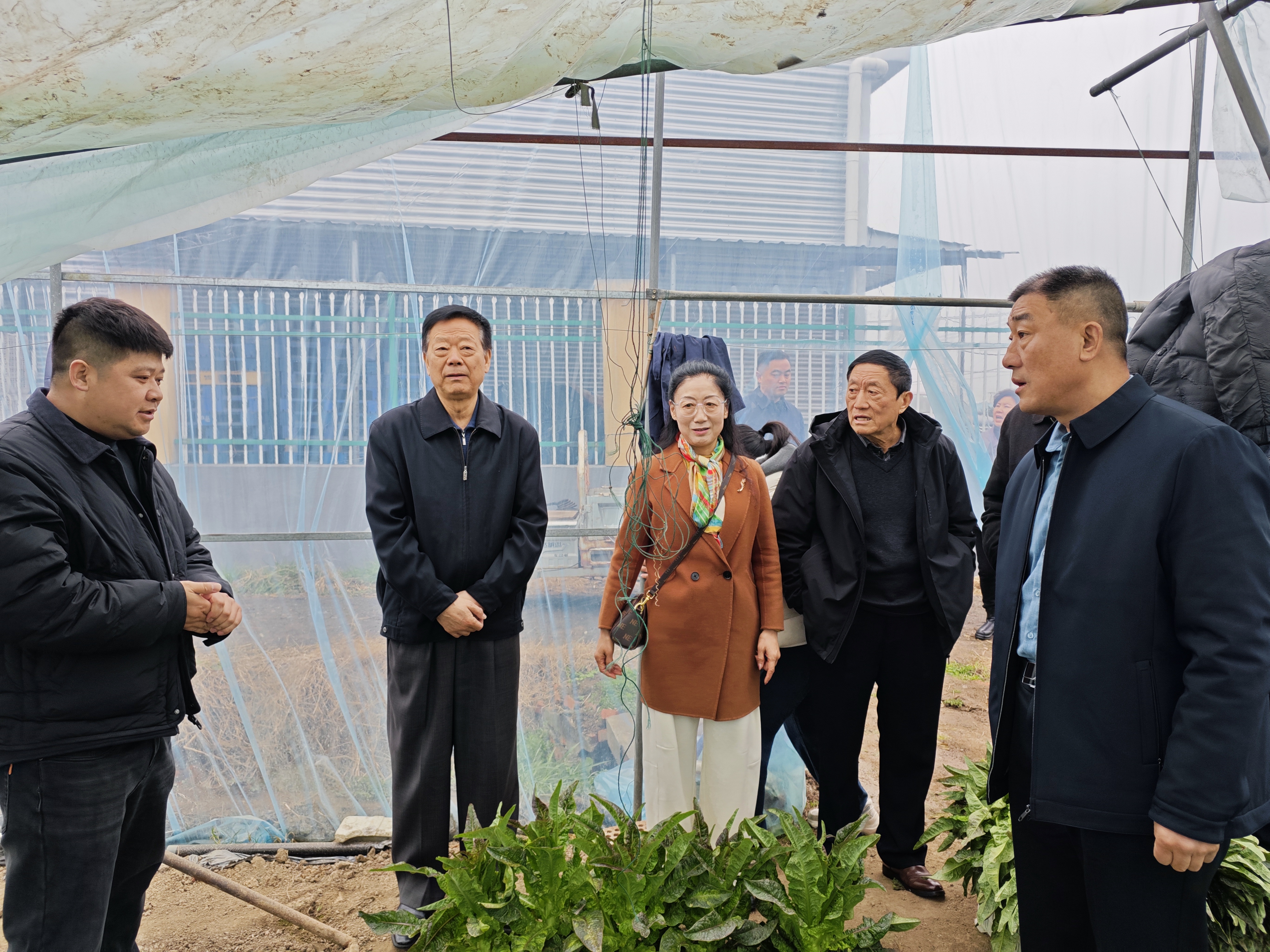 市关工委常务副主任傅厚华一行莅临我县开展 “新春进千委·奋力开新局”走访调研